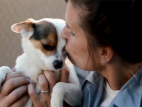 The Newport Beach Animal Shelter