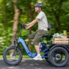 Concerned About Traffic and E-Bikes?