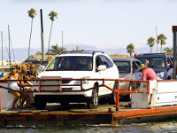 What’s Up in the Harbor?