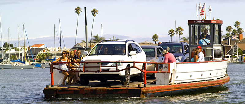 What’s Up in the Harbor?