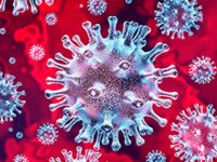 Coronavirus Law Enforcement Issues