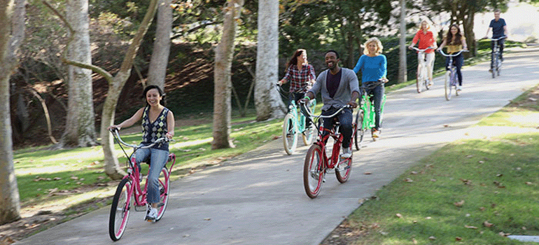 The Electric Bicycle Controversy