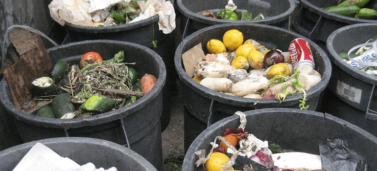 Are the Trash Police Coming to your House?