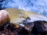Sewers – Good, Bad & Ugly!